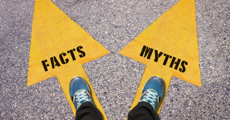 Social Media Strategist: Myths and Facts